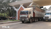 Khẩn trương giải tỏa ách tắc, thông quan kịp thời thực phẩm, hàng hóa