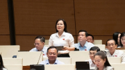 Thiết kế rõ hơn cơ chế đãi ngộ đối với luật sư công gắn với hiệu quả công việc