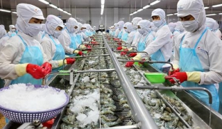 Đề xuất ưu tiên tiêm vaccine cho công nhân