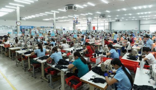 Hàng ngàn lao động tìm được công việc ổn định sau khi về quê