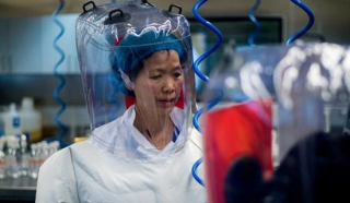 "Người dơi" Vũ Hán cảnh báo về sự gia tăng các biến chủng COVID-19