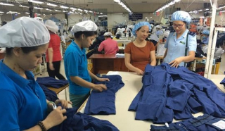 Một năm hái quả ngọt từ EVFTA