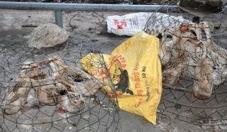 Nhóm đối tượng cầm hung khí cướp 18 con vịt về... nhậu