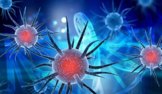 Cuộc chiến với những mầm bệnh: Cần tư duy như một con virus