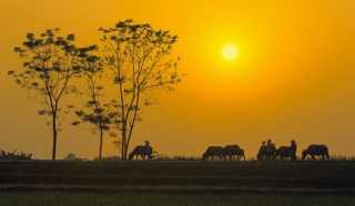 Tên mình còn được viết trong trái tim quê nhà