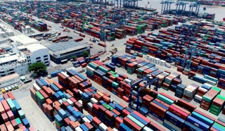 Tăng tốc giải phóng hàng container ùn tắc ở cảng Cát Lái