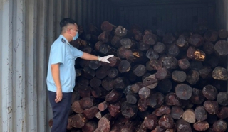 Gần 9 tấn gỗ giáng hương ngụy trang dụng cụ cầm tay