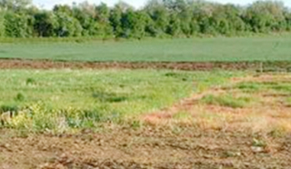 Thu hồi hơn 1.200m2 đất bỏ hoang gần 22 năm