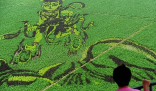 Vẽ trên cánh đồng