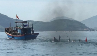 Va chạm tàu cá với tàu hàng, 2 ngư dân mất tích trên biển