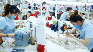 Lao động thất nghiệp tăng mạnh