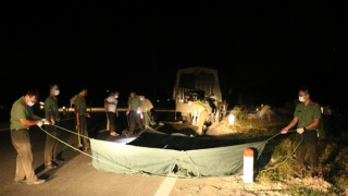 TP Vinh cách ly xã hội lần 2