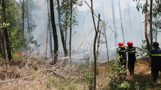 Nỗ lực phòng, chống cháy rừng trong cao điểm nắng nóng