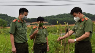 Cảm ơn những điều... bình thường