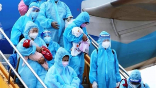 Chuyến bay đặc biệt đưa 400 phụ nữ mang thai và trẻ nhỏ về quê