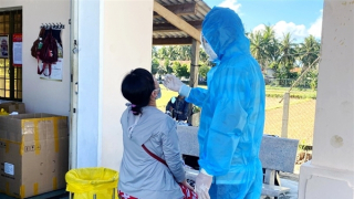 Thêm hai ổ dịch ở Bình Định chưa rõ nguồn lây
