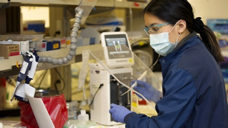 Châu Á-Thái Bình Dương cải tiến chiến lược chống COVID-19