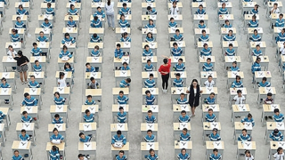 Văn mẫu, con voi trong phòng