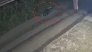 Tranh chấp đất, dùng ôtô con tông chết người