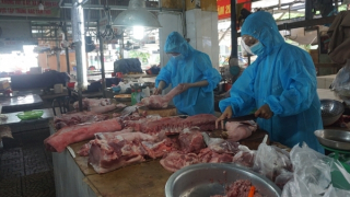 Đà Nẵng: Tổ dân phố cử người đi chợ theo khung giờ thay dân