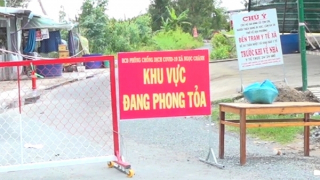 Tạm đình chỉ Trạm trưởng Y tế xã do làm lây lan dịch bệnh