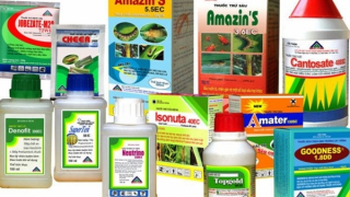 Con rể đổ thuốc trừ sâu vào lu nước hạ độc nhà vợ