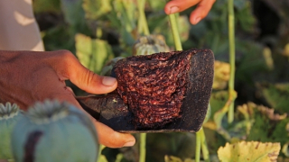 CIA với chiến địa “ngã tư châu Á”