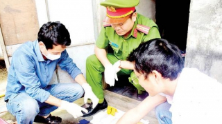 Góp sức “giải mã” nhiều vụ án phức tạp