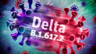 Đi tìm chiến lược chống COVID-19 tốt nhất trong ngắn hạn