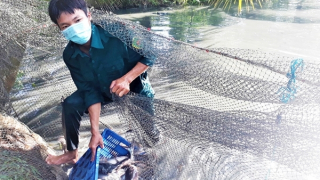 Người nghèo giúp người khó