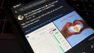 Showbiz Việt và bài học chấp nhận lỗi sai
