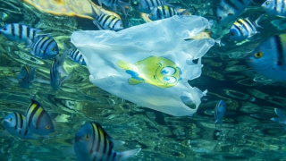 Chống ô nhiễm vi nhựa bằng nam châm