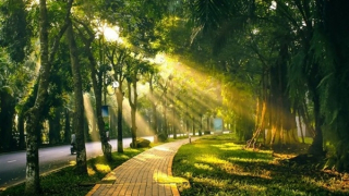 Hà Nội mưa nắng đan xen