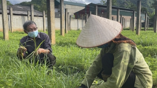 Hành trình trở về nẻo thiện của một tử tù