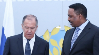 Lục địa Đen trước áp lực đơn cực