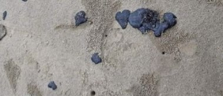 Phát hiện hàng chục tấn dầu vón cục dạt vào bờ biển Quảng Trị