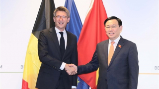 Việt Nam coi trọng phát triển quan hệ hợp tác với Bỉ