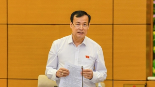 Cần nghiêm cấm những bộ phim cổ súy hành vi vi phạm pháp luật