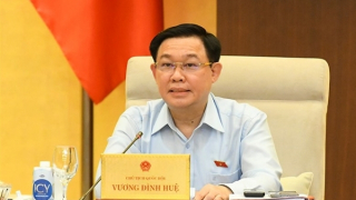 Cần bổ sung chỉ tiêu thống kê liên quan thảm họa môi trường, dịch bệnh