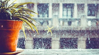 Hà Nội có mưa giông, thời tiết mát mẻ