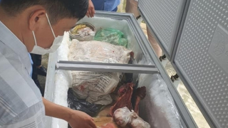 Phát hiện “chúa sơn lâm” 160kg trong tủ cấp đông