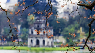 Trong xanh tháng chín...