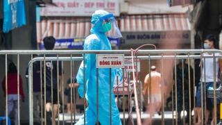 Giữa mùa đại dịch