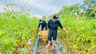 Vừa chống dịch, vừa giữ vững an ninh trật tự