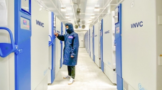 Công phu như… bảo quản vaccine COVID-19