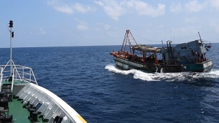 Cảnh sát biển tập huấn phòng, chống khai thác thủy sản bất hợp pháp