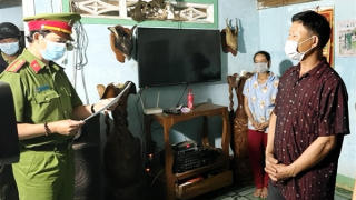 Tạm giữ hình sự đối tượng chủ mưu đốn hạ 3,7 ha rừng tự nhiên tại Phú Yên