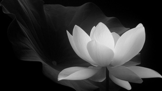 Đại tá Trần Khắc Thiệu từ trần