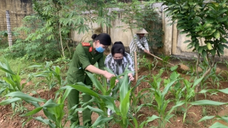 Gieo mầm thiện với những mảnh đời lầm lỗi