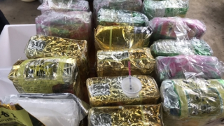 Triệt phá đường dây mua bán, vận chuyển ma túy lớn bằng xe “luồng xanh”